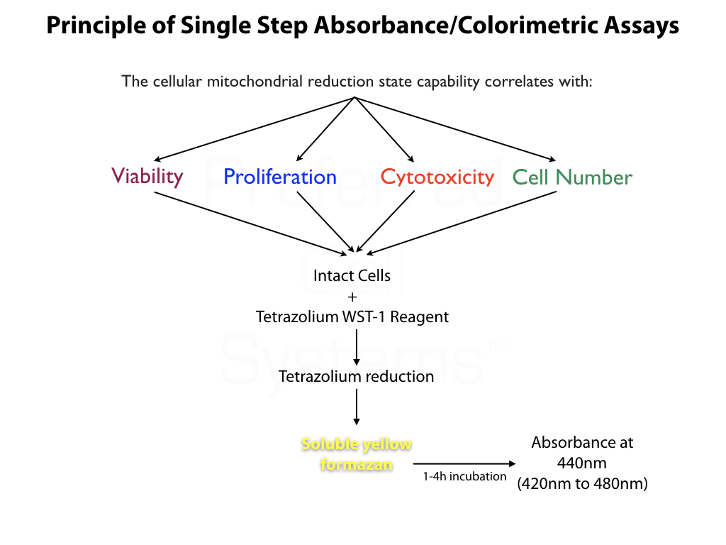 Principle of Using STEMLight Assays on Multiple Proliferating Cell Types Using an Absorbance / Colorimetric Readout